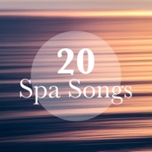 20 Spa Songs - The Very Best of Wellness Songs, Yoga Music, Buddhist Songs, Tiberan Music artwork
