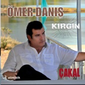 Kırgın artwork