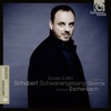 Matthias Goerne & Christoph Eschenbach - Schwanengesang, D. 957: VI. In der Ferne