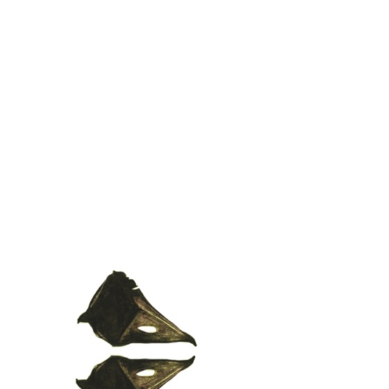 Cover artwork for Ayor