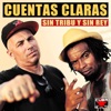 Cuentas Claras - Cuentas Pendientes