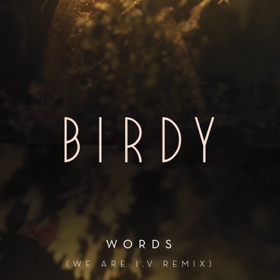 Cover artwork for Words (We Are I.V Remix)