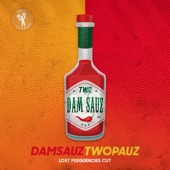 Dam Sauz (Lost Frequencies Extended Cut) artwork