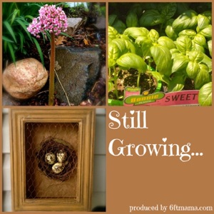 Twenty Reasons NOT to Garden and WHY I IGNORE THEM ALL with Garden Humorist Luke Ruggenberg