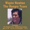 I'd Build a Bridge - Wayne Newton lyrics