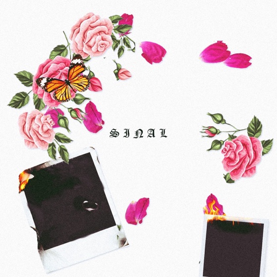 Cover artwork for Sinal
