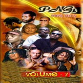 PNG'S 100% Hits Vol.7 artwork