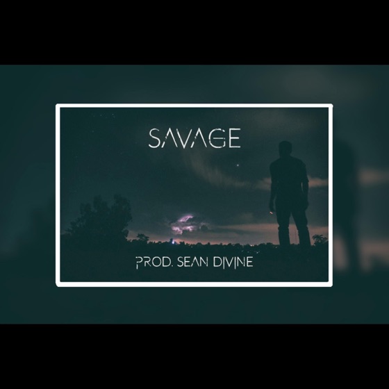 Cover artwork for Savage