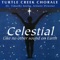 Grateful - Dr. Timothy Seelig & Turtle Creek Chorale lyrics
