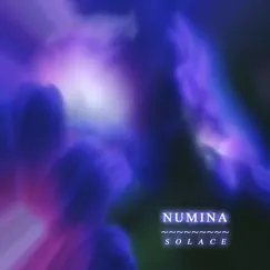 Solace by Numina album reviews, ratings, credits