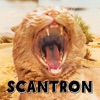 Scantron - EP artwork