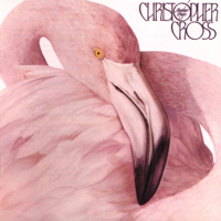 Christopher Cross - Another Page artwork