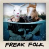 Freak Folk artwork