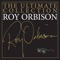 Only the Lonely (Know the Way I Feel) - Roy Orbison lyrics