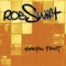 Rob Swift Versus Rahzel (feat. Rahzel) - Rob Swift lyrics