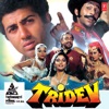 Tridev (Original Motion Picture Soundtrack), 1989