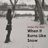 When It Burns Like Snow