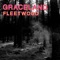 Fleetwood - Graceland lyrics