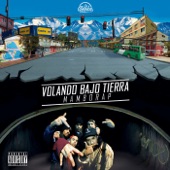 Volando Bajo Tierra artwork