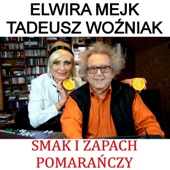 Smak I zapach pomarańczy artwork