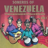 Soneros Of Venezuela Vol. 1 artwork