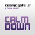 Calm Down (Remixes) - Single album cover