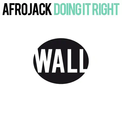 Doing It Right - Single - Afrojack