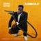 Achikolo (feat. Phyno) - Zoro lyrics