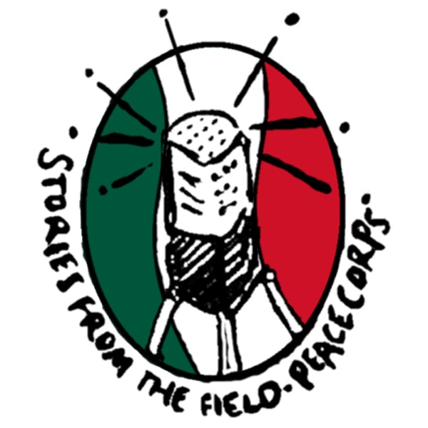 Stories from the Field cover