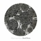 Pearl Divers of the Arabian Peninsula - Charts and Maps lyrics