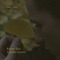 Golden Leaves (feat. Andrea Fusacchia) - Rubber Soul lyrics
