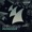Laidback Luke - Promiscuous