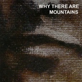 Why There Are Mountains artwork