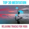Top 30 Meditation: Relaxing Tracks for Yoga – Soft Sounds for Deep Meditation, Training Yoga, Inner Balance, Chakra Meditation album lyrics, reviews, download