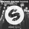 Thorns (feat. Raphaella) [Extended Mix] - Michael Calfan lyrics