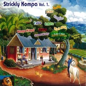 Strickly Kompa, Vol. 1 artwork