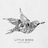 Little Birds - EP