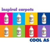 Inspiral Carpets - Keep the Circle Around