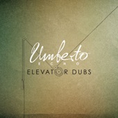 Elevator Dubs artwork