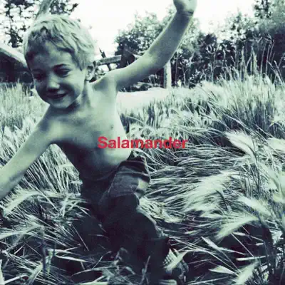Salamander - Single - Ellegarden