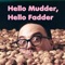 Hello Mudder, Hello Fadder - Allan Sherman lyrics