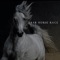 Arab Horse Race - DJ Trendsetter lyrics