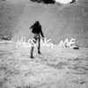 Missing Me - Single