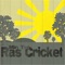 Polisen Slår - Ras Cricket lyrics