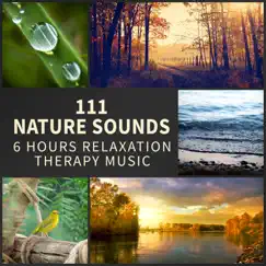 111 Nature Sounds: Over 6 Hours Relaxation Therapy Music for Sleep, Meditation, Massage and Study (Rain, Thundesrtorm, Ocean, Birds, Wind, Crickets & Bells) by Various Artists album reviews, ratings, credits