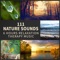 Angelic Harp Music: Newborn Sleep - Calming Water Consort lyrics