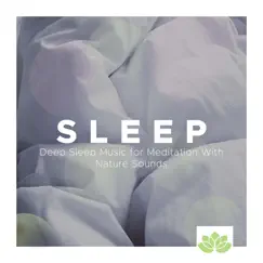 Nature Sounds for Deep Sleep Song Lyrics
