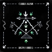 Cobra Kush (Peter Power Remix) [feat. Naduve] artwork