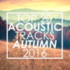 Top 20 Acoustic Tracks Autumn 2016 (Instrumental)