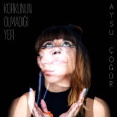 Korkunun Olmadığı Yer artwork